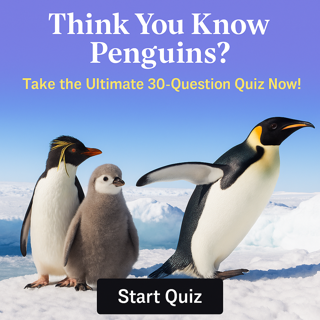 Think You Know Penguins? Take the Ultimate 30-Question Quiz Now!